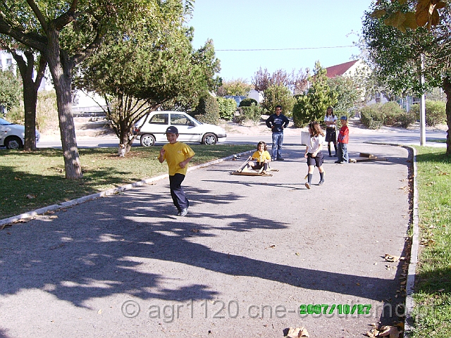 IMAG0061.JPG