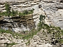 P7260134
