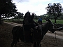 DSCF2445