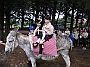 DSCF2446