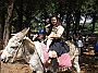 DSCF2451