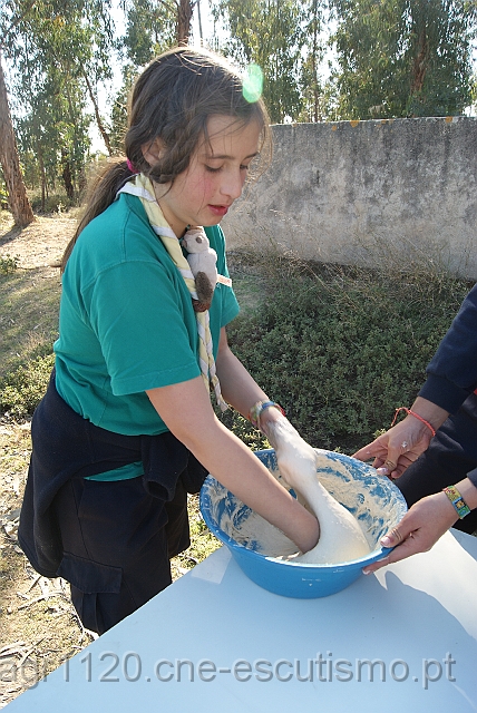 DSC02358.JPG