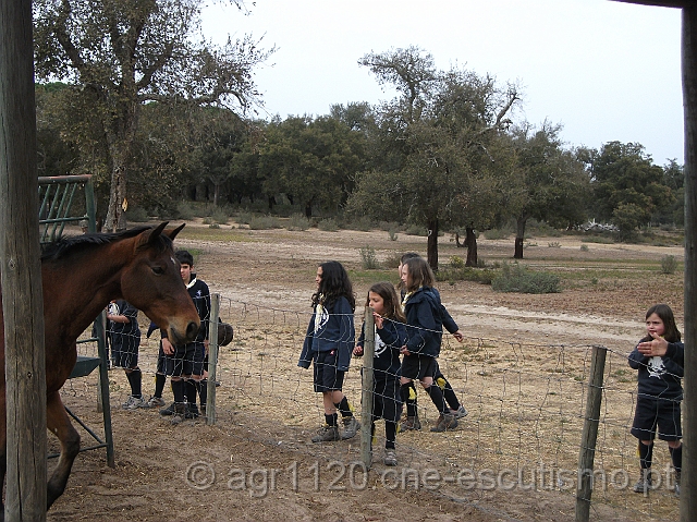 DSCF2841.JPG