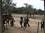 DSCF2841
