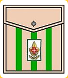 Guia de Grupo Explorador