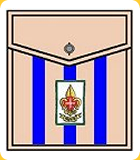 Guia de Grupo Pioneiro